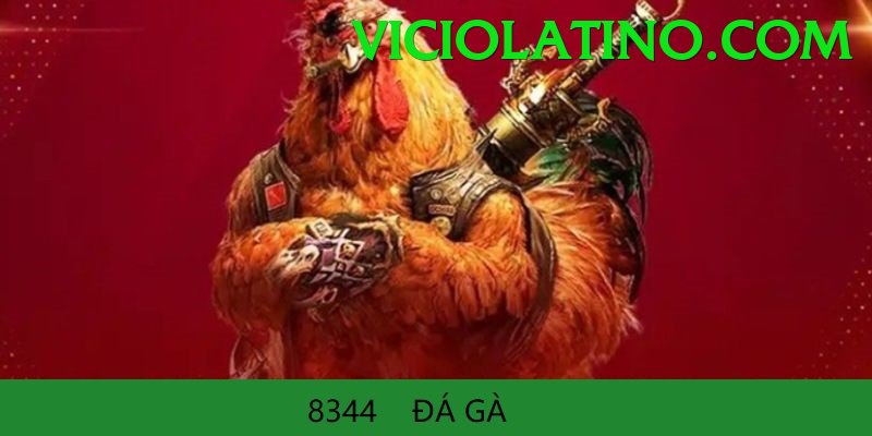 Cách Đọc Kèo Đá Gà