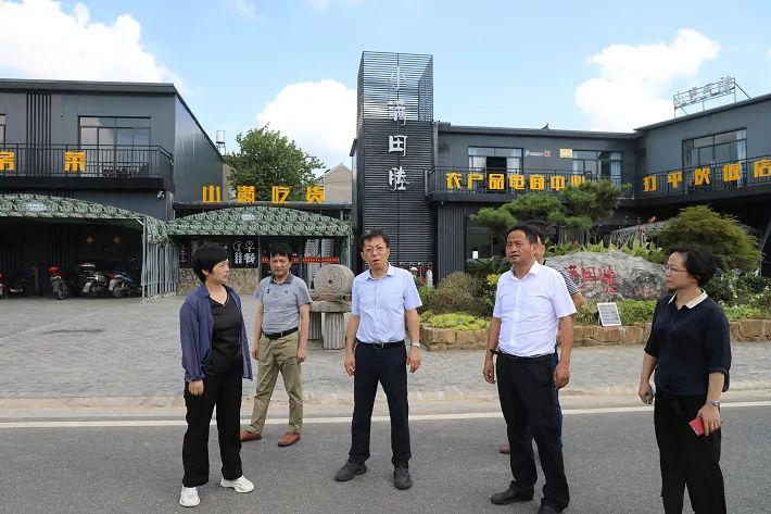 牛集鎮(zhèn)未來繁榮新藍圖，最新發(fā)展規(guī)劃揭秘