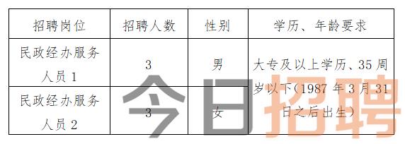 沙縣科技局等最新招聘信息詳解及應(yīng)聘指南